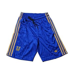 tigres spesialutgave spillerversjon 2025-2026 bla shorts