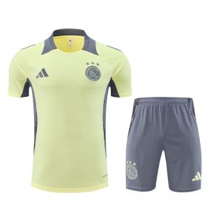 ajax drakt trenings sett gul gra 2024-2025